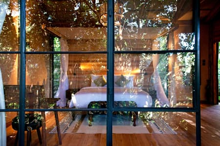 Entebbe Forest Lodge